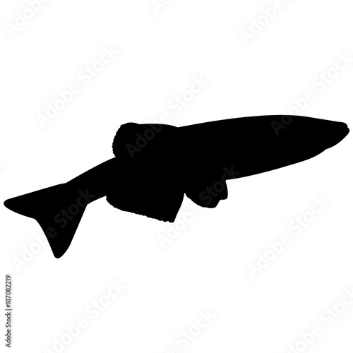 Minnow Silhouette Vector Graphics