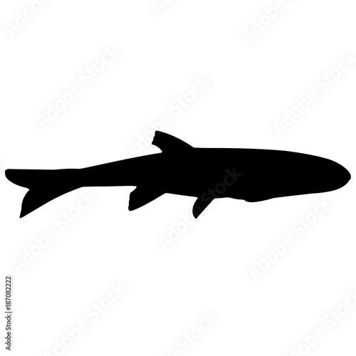 Minnow Silhouette Vector Graphics