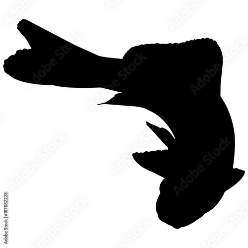 Minnow Silhouette Vector Graphics