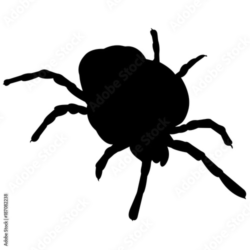 Mite Silhouette Vector Graphics