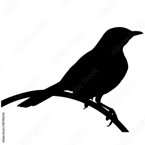 Wallpaper Mural Mocking bird Silhouette Vector Graphics
