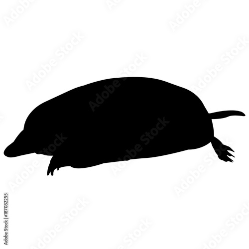 Mole Silhouette Vector Graphics