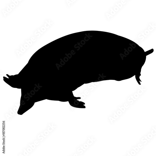Mole Silhouette Vector Graphics