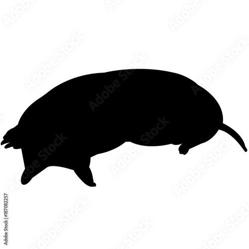Mole Silhouette Vector Graphics