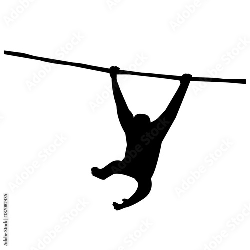 Orangutan Silhouette Vector Graphics