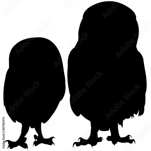 Owl Silhouette Vector Graphics