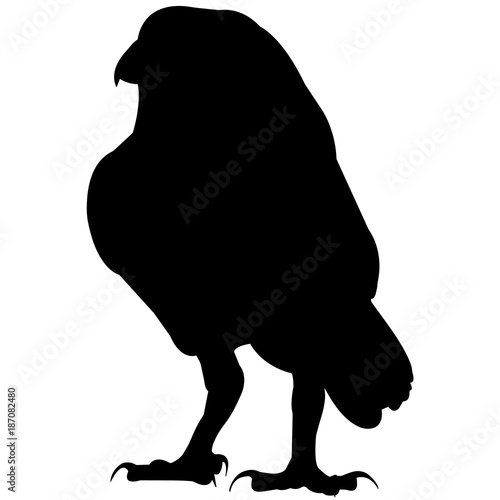 Owl Silhouette Vector Graphics