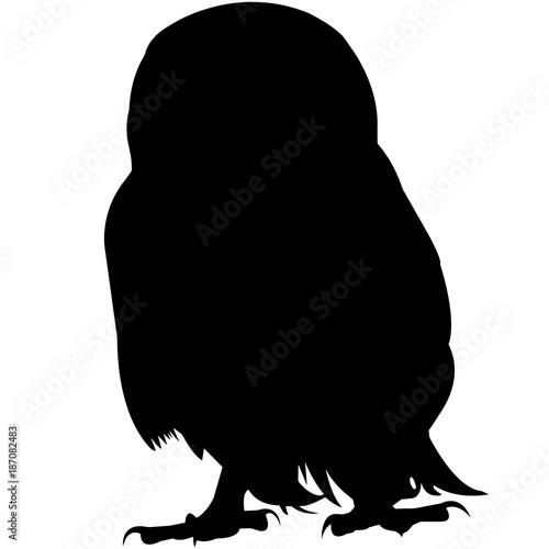Owl Silhouette Vector Graphics