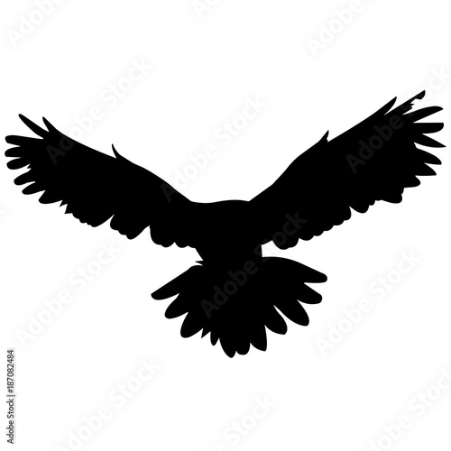 Owl Silhouette Vector Graphics