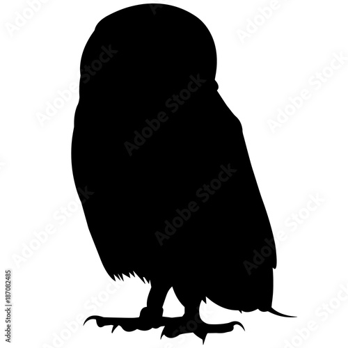 Owl Silhouette Vector Graphics