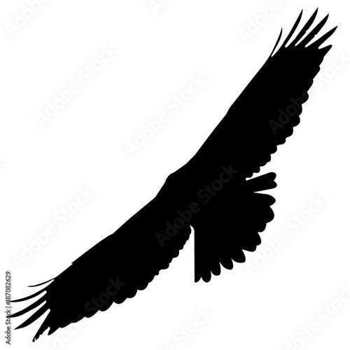 Peregrine falcon Silhouette Vector Graphics