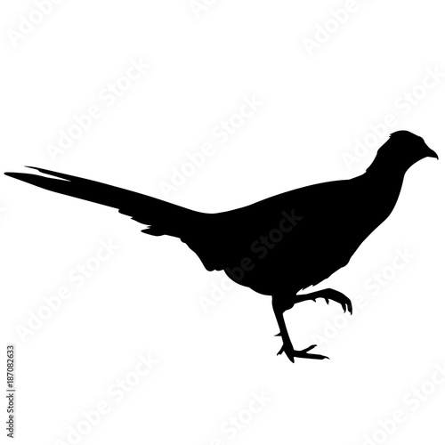 Pheasant Silhouette Vector Graphics
