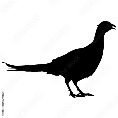 Pheasant Silhouette Vector Graphics