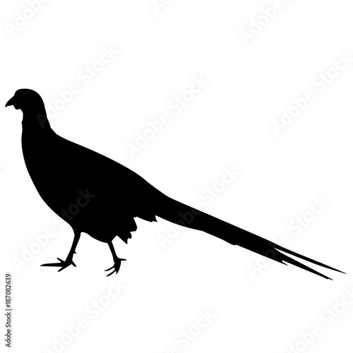 Pheasant Silhouette Vector Graphics