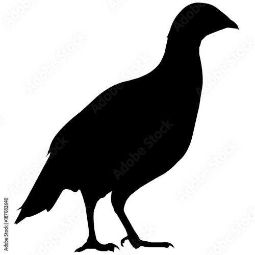 Pheasant Silhouette Vector Graphics