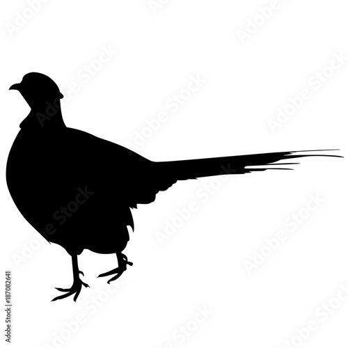 Pheasant Silhouette Vector Graphics