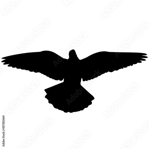 Pigeon Silhouette Vector Graphics