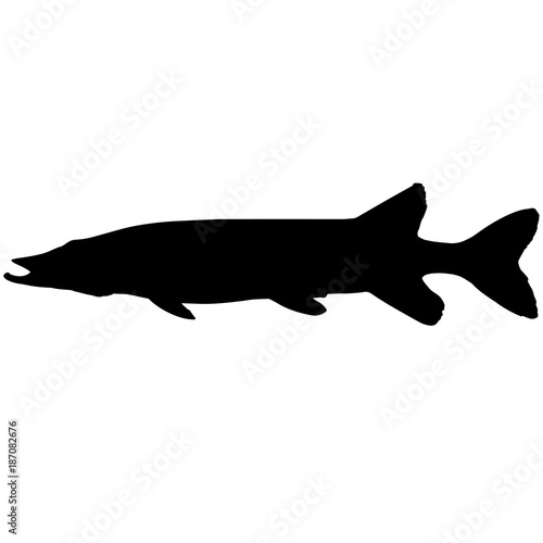 Pike Silhouette Vector Graphics