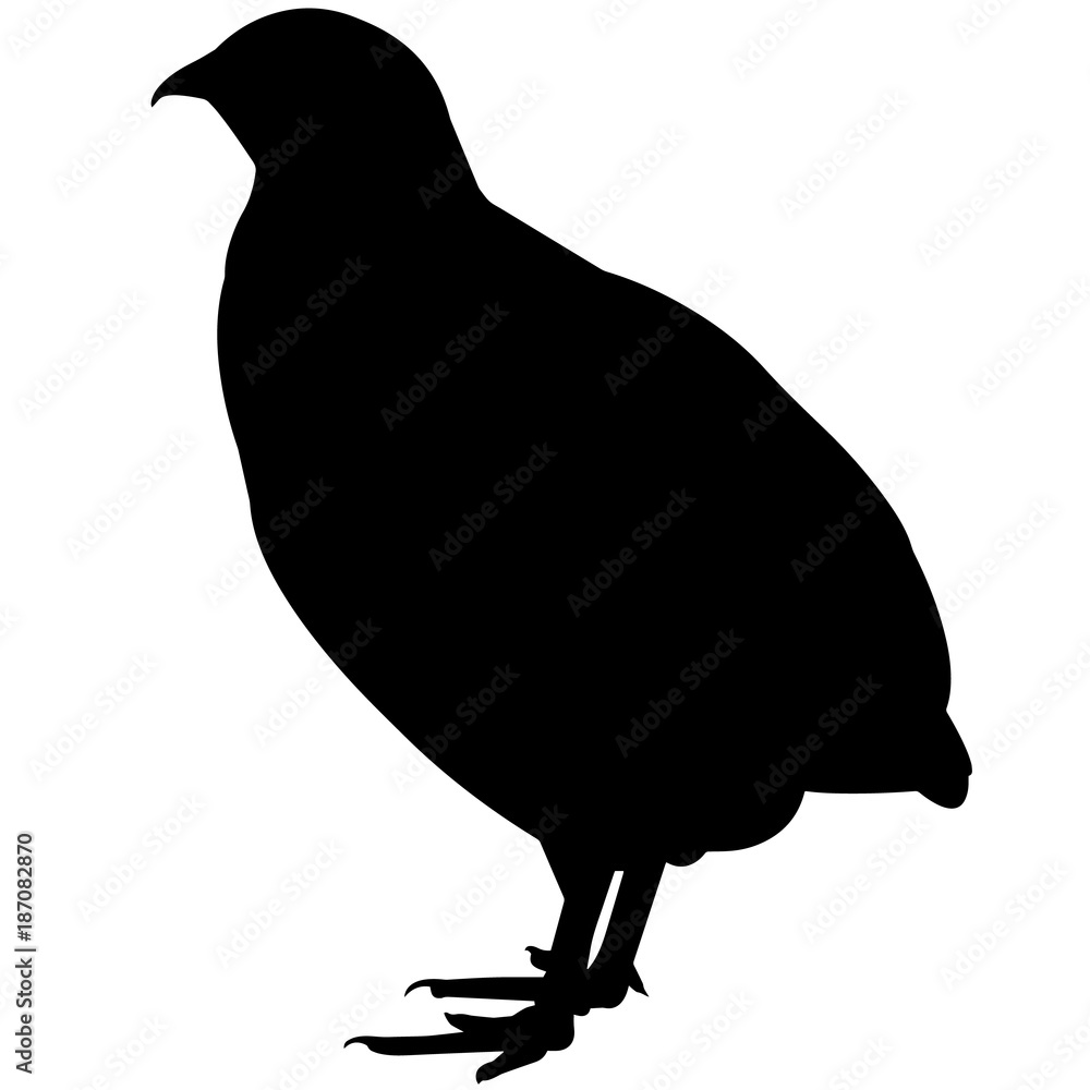 Quail Silhouette Vector Graphics Stock Vector | Adobe Stock