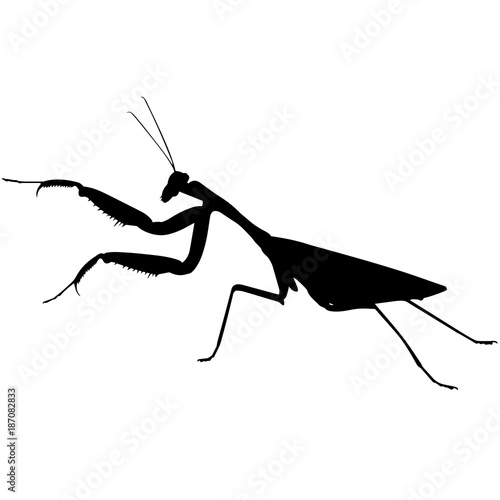 Praying mantis Silhouette Vector Graphics