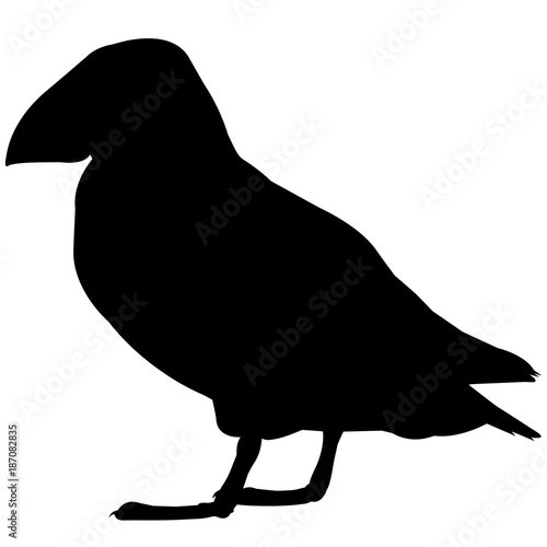 Puffin Silhouette Vector Graphics