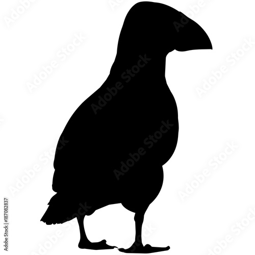 Puffin Silhouette Vector Graphics