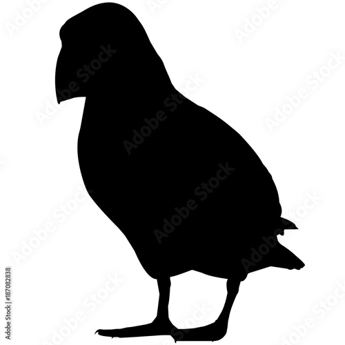 Puffin Silhouette Vector Graphics