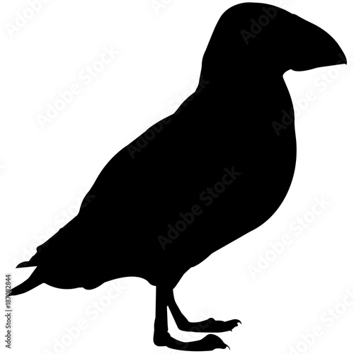 Puffin Silhouette Vector Graphics