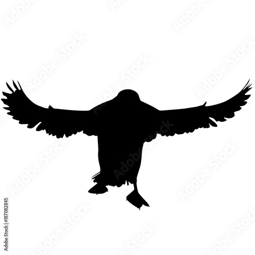 Puffin Silhouette Vector Graphics