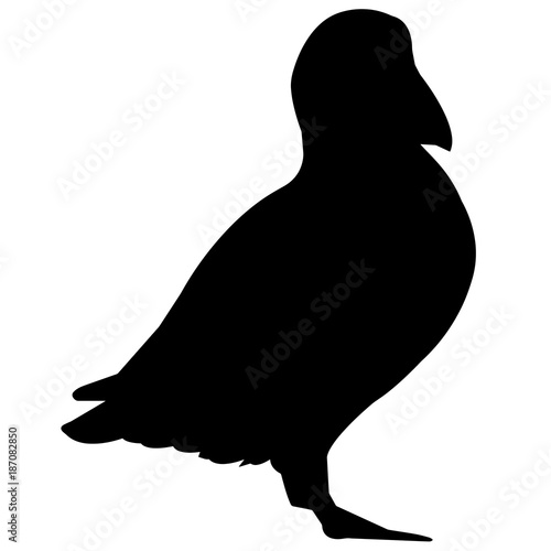 Puffin Silhouette Vector Graphics
