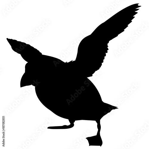 Puffin Silhouette Vector Graphics