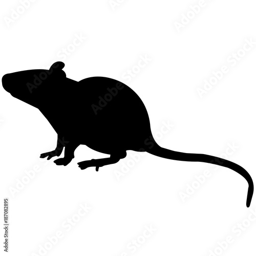 Rat Silhouette Vector Graphics photo