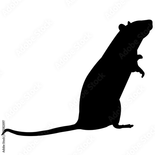 Rat Silhouette Vector Graphics