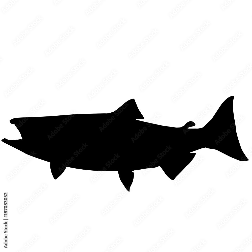 Salmon Silhouette Vector Graphics Stock Vector Adobe Stock