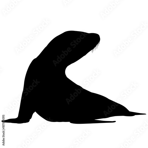 Sea lion Silhouette Vector Graphics