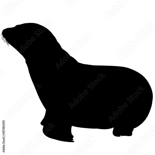 Sea lion Silhouette Vector Graphics