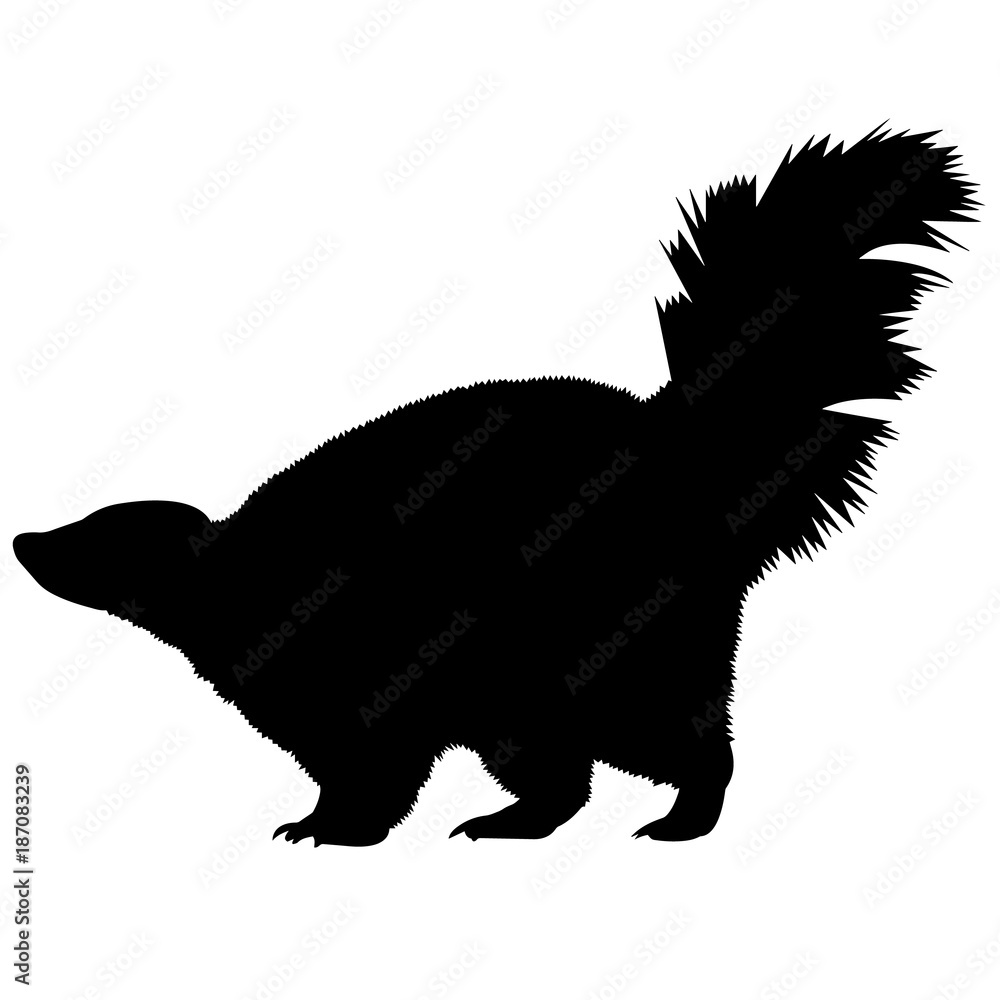 Skunk Silhouette Vector Graphics Stock Vector | Adobe Stock