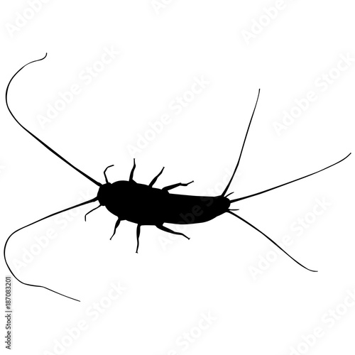 Silver fish Silhouette Vector Graphics