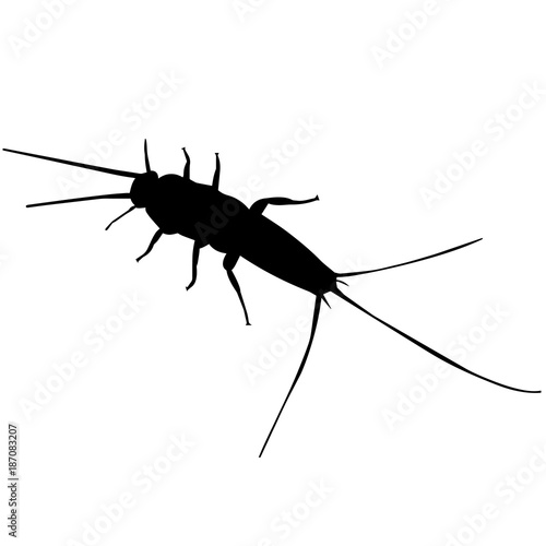 Silver fish Silhouette Vector Graphics
