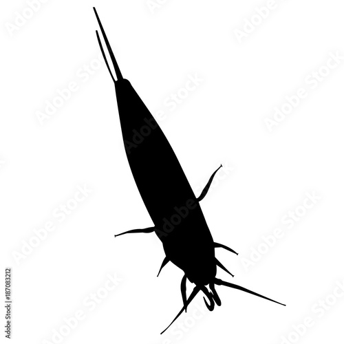 Silver fish Silhouette Vector Graphics