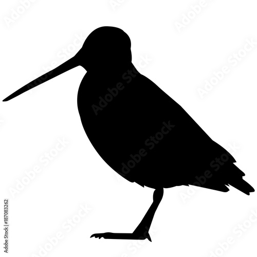 Canvas Print Snipe Silhouette Vector Graphics
