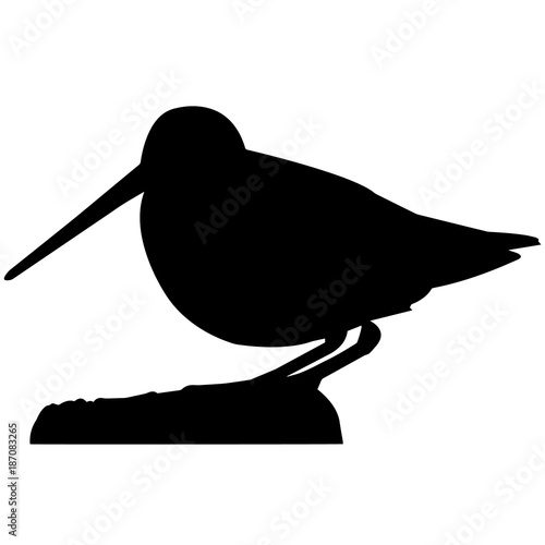 Snipe Silhouette Vector Graphics photo