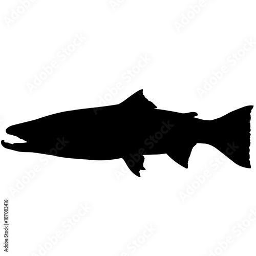Steelhead trout Silhouette Vector Graphics