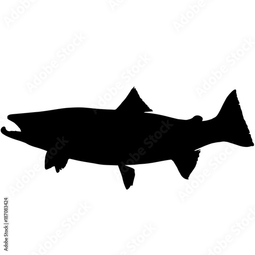 Steelhead trout Silhouette Vector Graphics