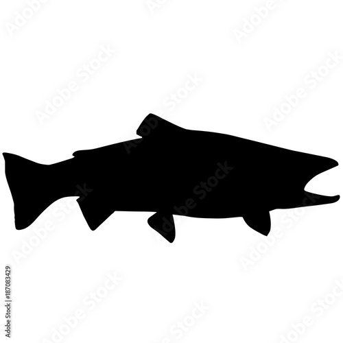 Steelhead trout Silhouette Vector Graphics
