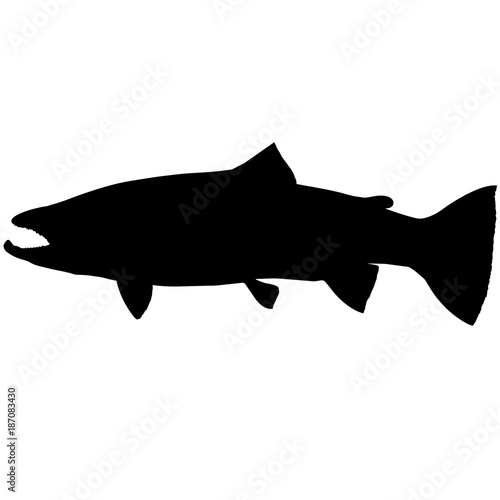 Steelhead trout Silhouette Vector Graphics
