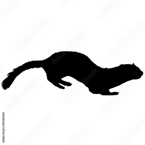 Stoat Silhouette Vector Graphics