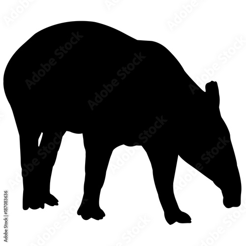 Tapir Silhouette Vector Graphics