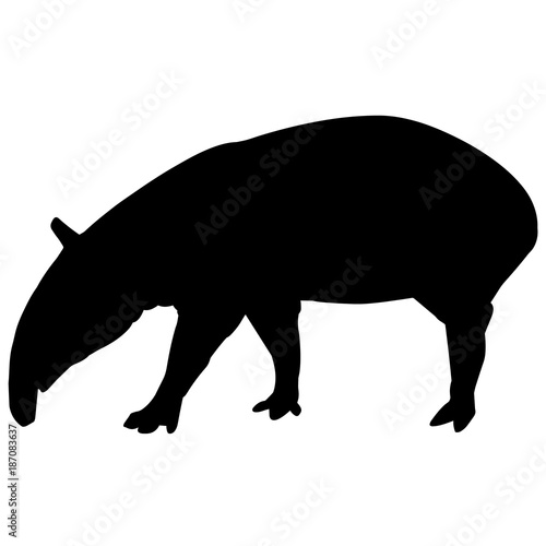 Tapir Silhouette Vector Graphics photo