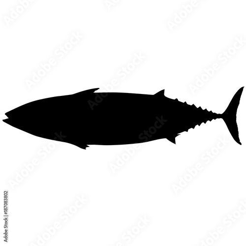 Tuna Silhouette Vector Graphics